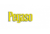 C.C. PEGASO - Pagani - Salerno